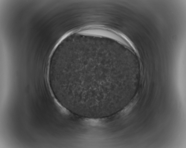 X0000085021245200703121536