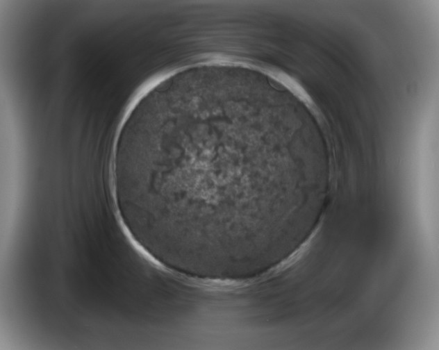 X0000085021247200703121536