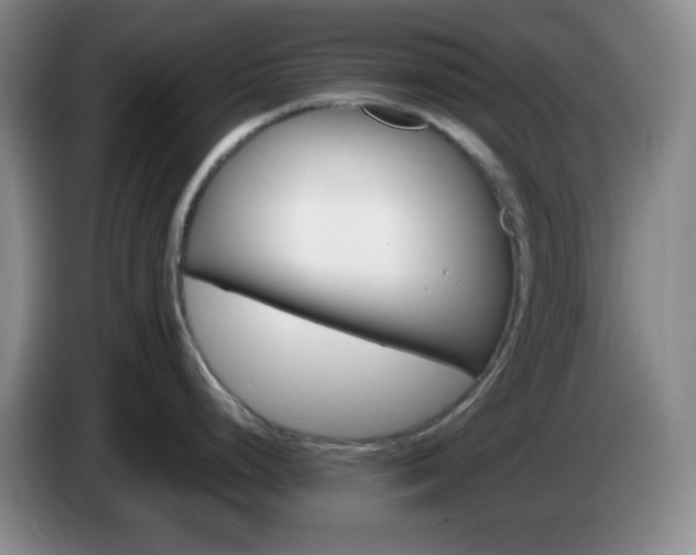X0000085021248200703121536