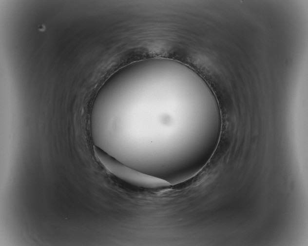 X0000085021249200703121535