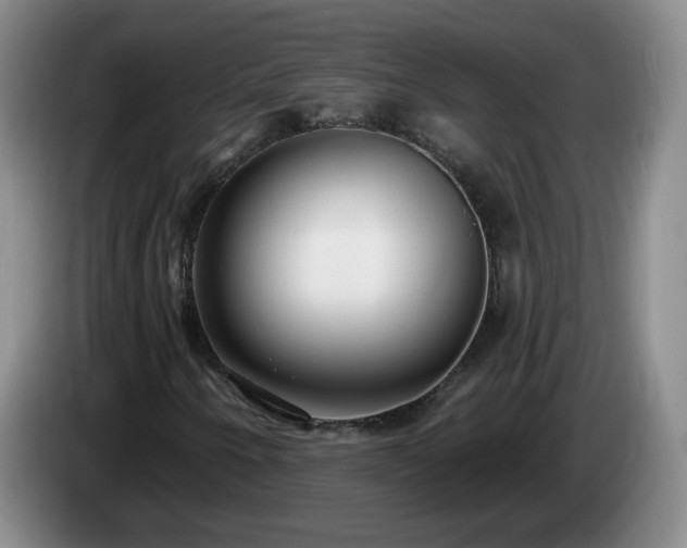 X0000085021250200703121535
