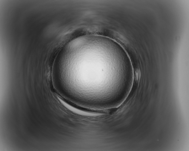 X0000085021251200703121535