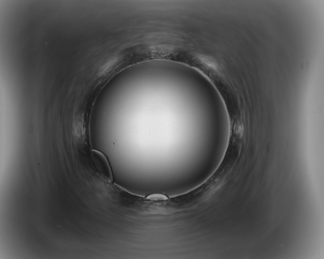 X0000085021252200703121535