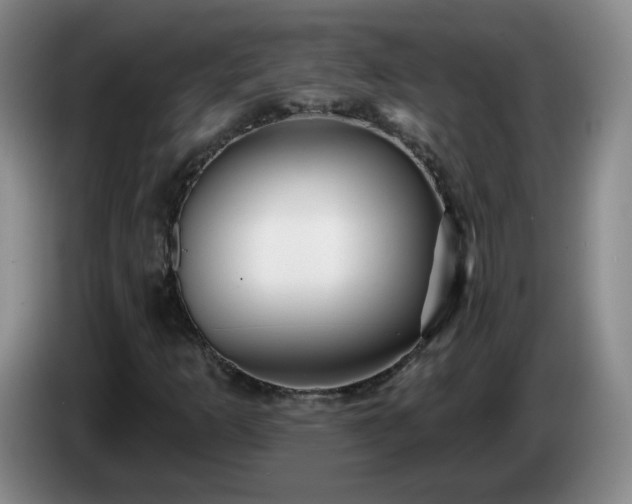 X0000085021253200703121535