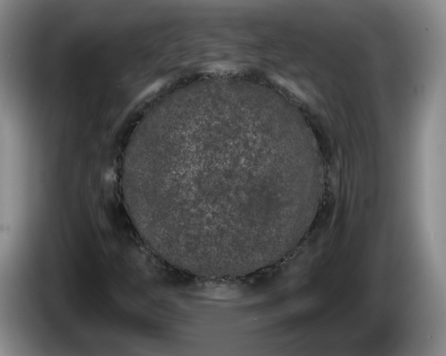 X0000085021254200703121535