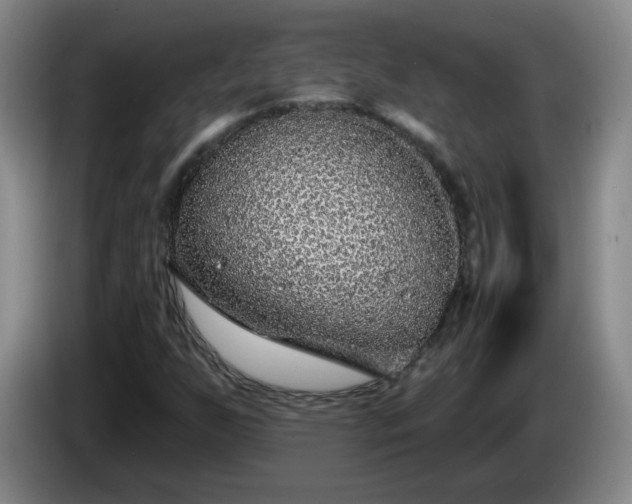 X0000085021255200703121535