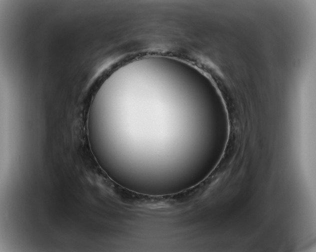 X0000085021256200703121535
