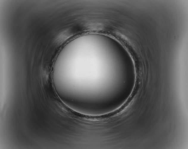 X0000085021257200703121535