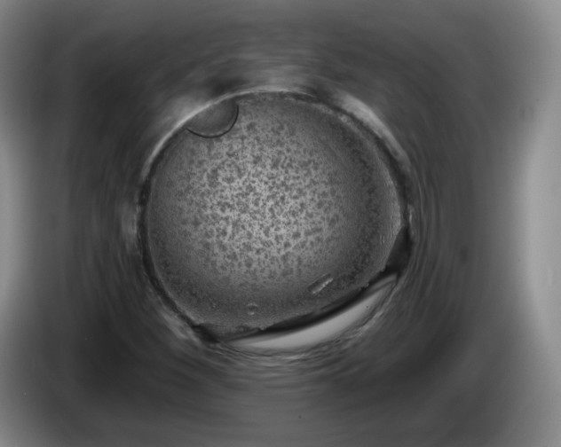X0000085021260200703121535