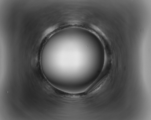 X0000085021261200703121535
