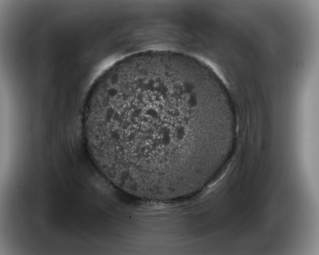X0000085021263200703121535
