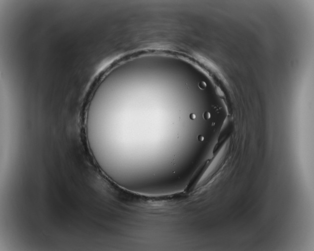 X0000085021264200703121535