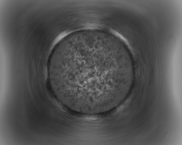 X0000085021267200703121535