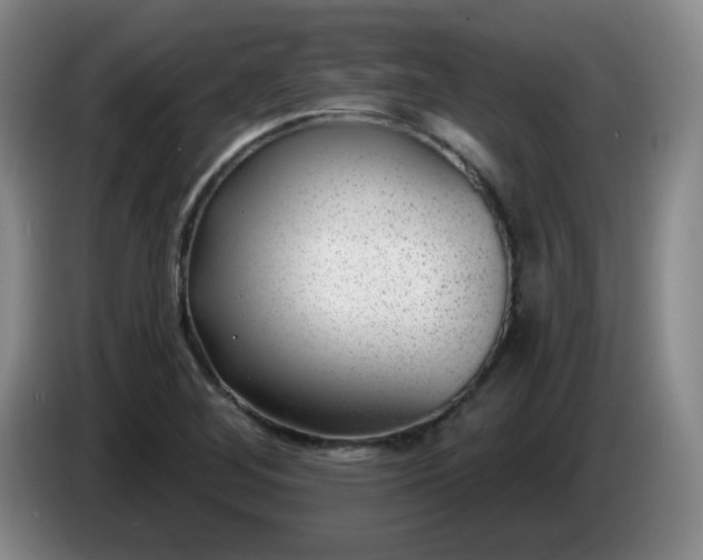 X0000085021268200703121535
