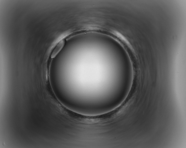 X0000085021269200703121535