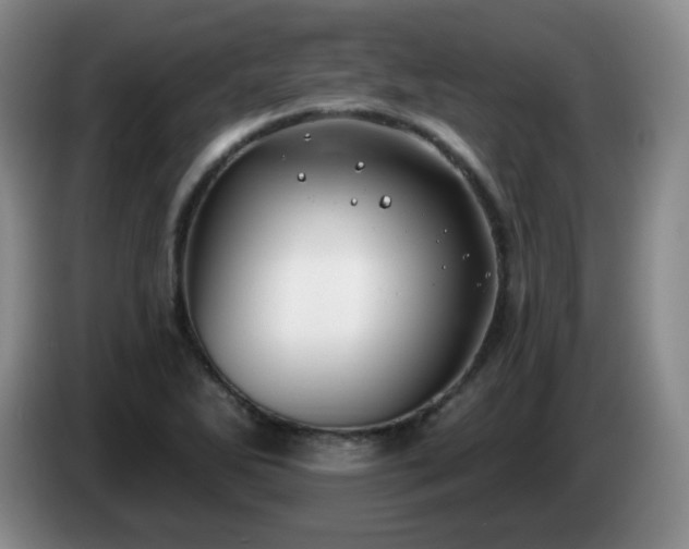 X0000085021270200703121535