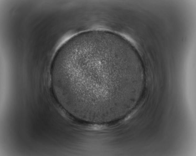 X0000085021271200703121535