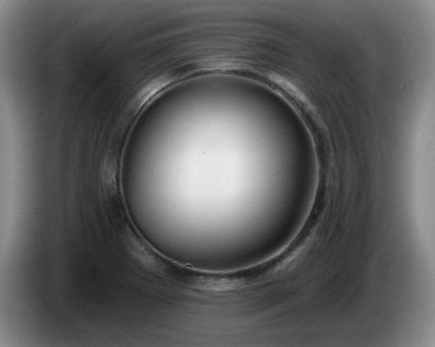 X0000085021273200703121535