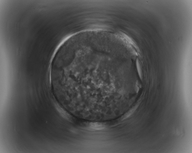 X0000085021275200703121535