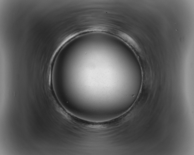 X0000085021276200703121535
