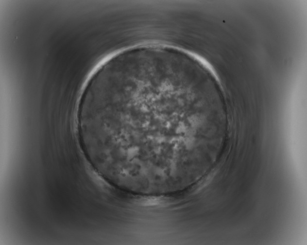 X0000085021279200703121535