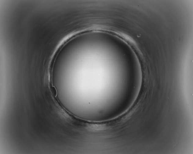X0000085021280200703121535
