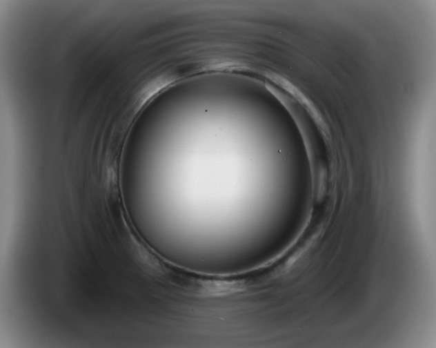 X0000085021281200703121535