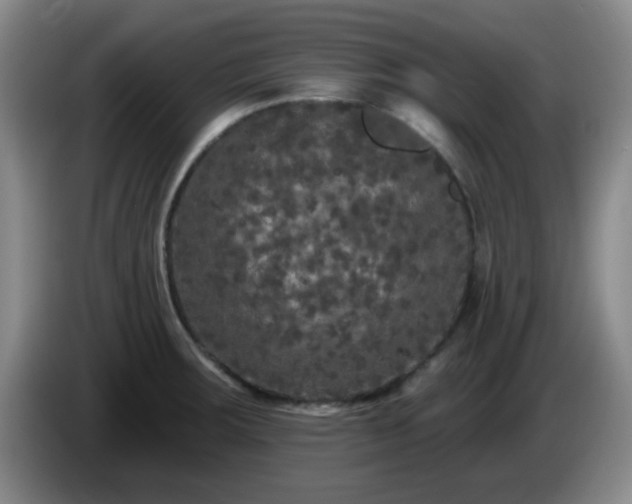 X0000085021283200703121535