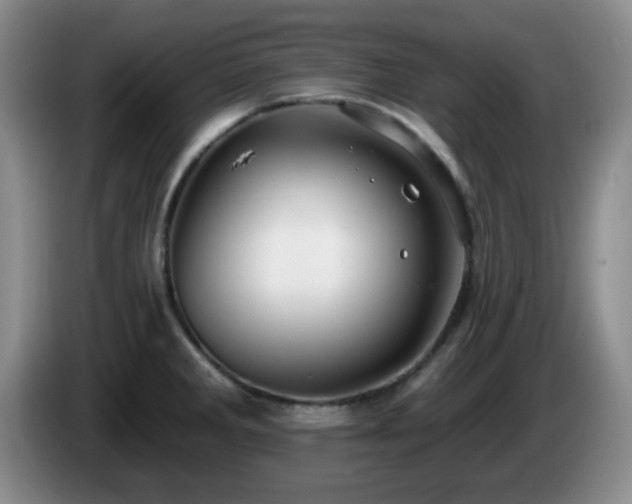 X0000085021285200703121535