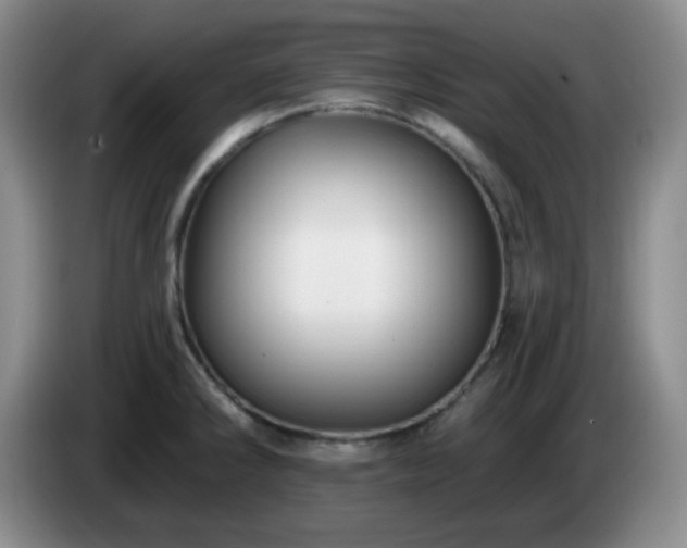 X0000085021286200703121535