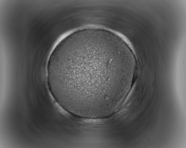 X0000085021287200703121535
