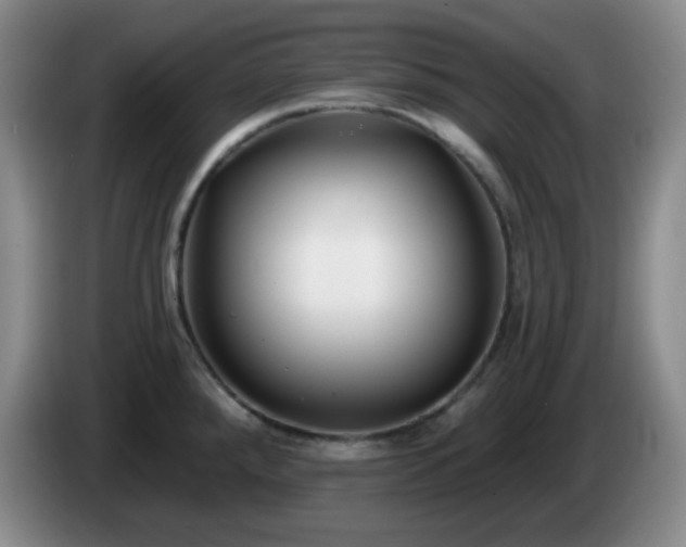 X0000085021288200703121535