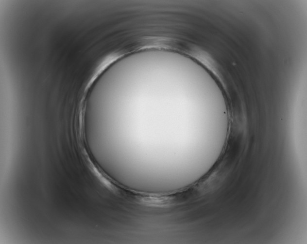 X0000085021290200703121535