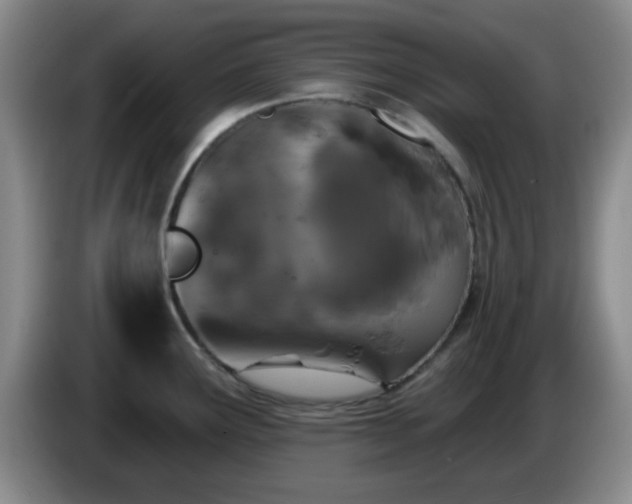X0000085021291200703121535