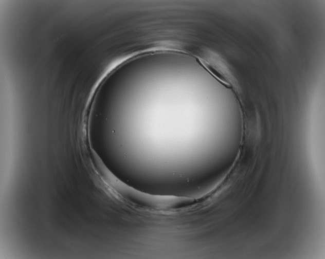 X0000085021292200703121535