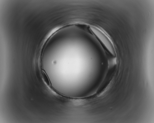 X0000085021293200703121535