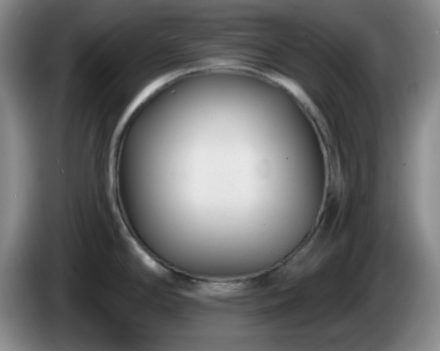 X0000085021294200703121535
