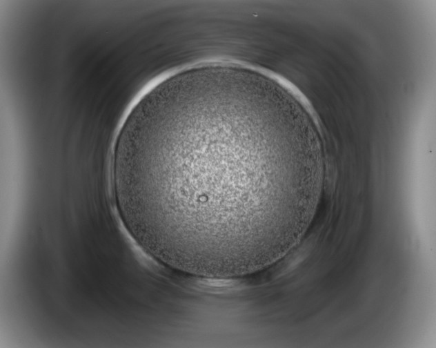 X0000085021295200703121535