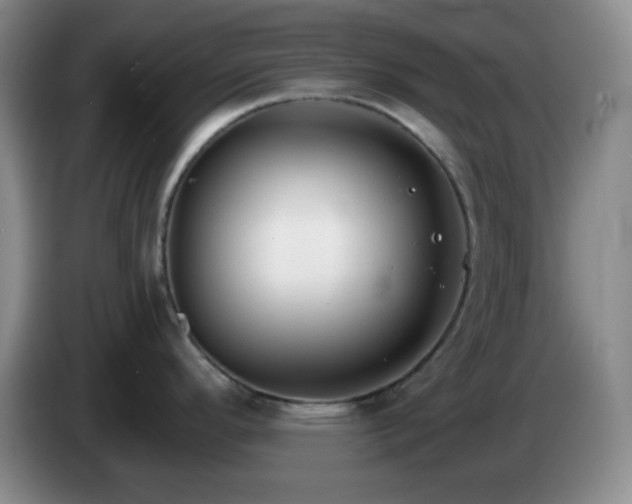 X0000085021296200703121534