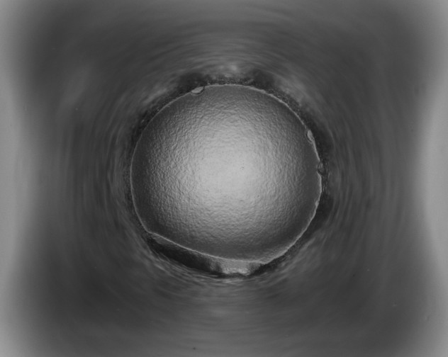 X0000085021297200703121534