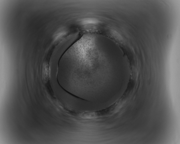 X0000085021298200703121534