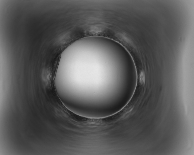 X0000085021299200703121534
