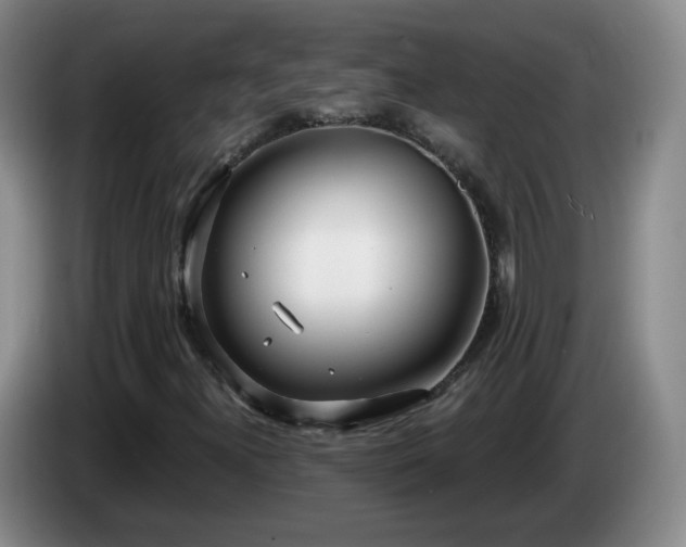 X0000085021300200703121534