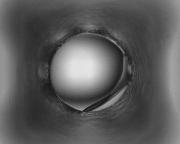 X0000085021301200703121534