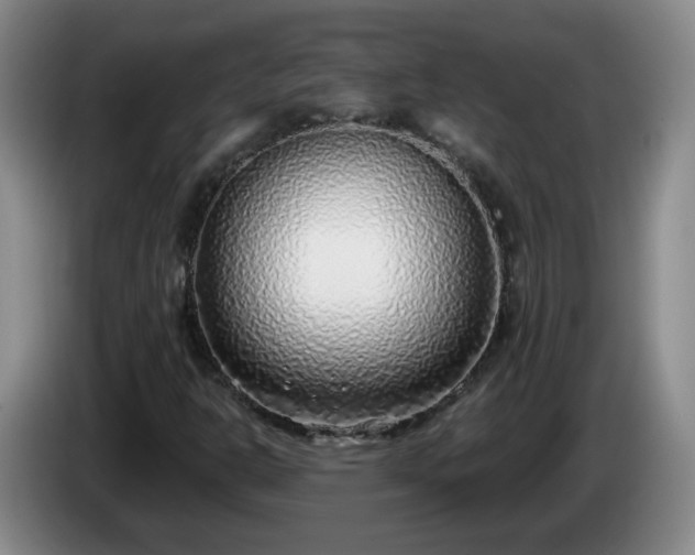 X0000085021302200703121534
