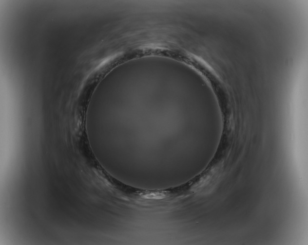 X0000085021303200703121534