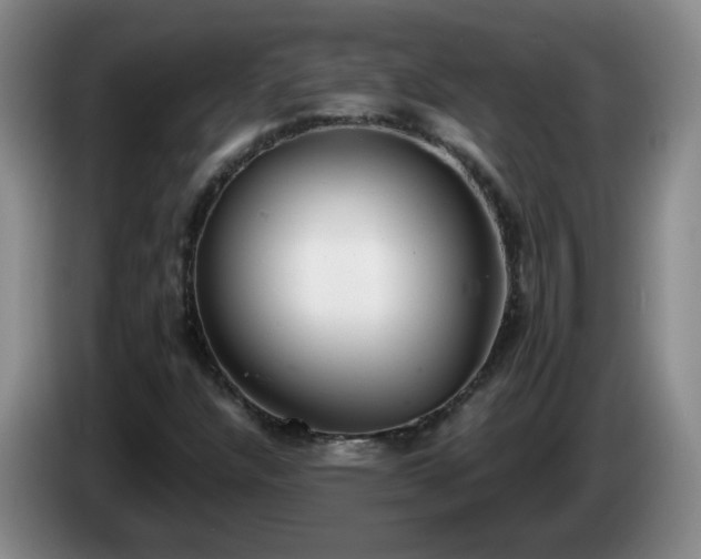 X0000085021304200703121534