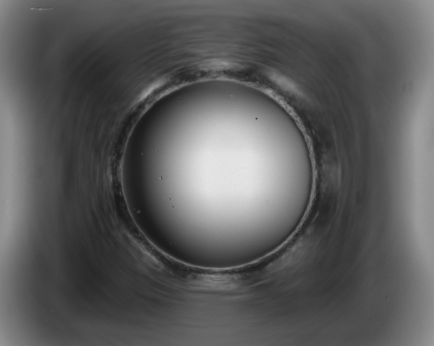 X0000085021305200703121534