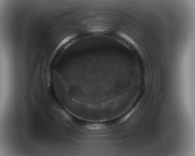 X0000085021306200703121534