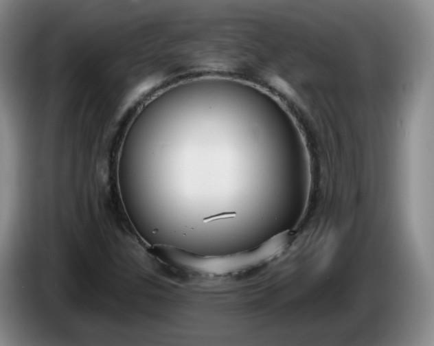 X0000085021307200703121534